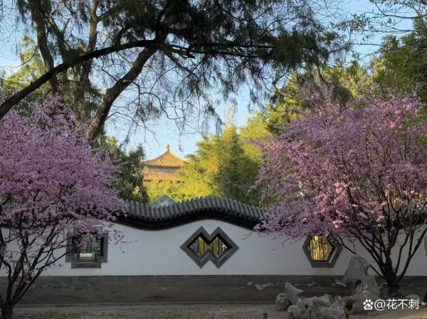 瑞银网配资 同为百亿级的海天味业、爱尔眼科、隆基绿能，十年后谁更有前途？