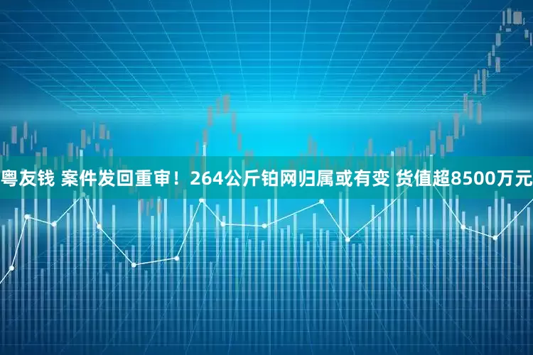粤友钱 案件发回重审！264公斤铂网归属或有变 货值超8500万元