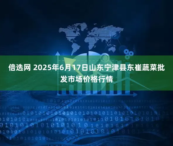 倍选网 2025年6月17日山东宁津县东崔蔬菜批发市场价格行情